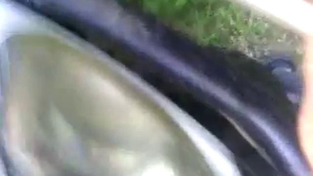 Panda 500cc. Проверка РР смотреть онлайн