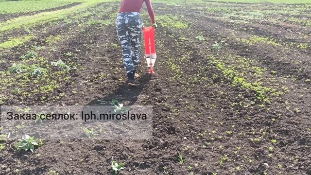 Как быстро посеять кукурузу. Обзор сеялки точного высева для арбуза, фасоли, бобовых.