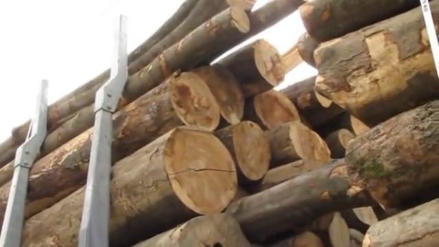 Кто в лес, кто по дрова смотреть онлайн