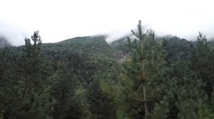 Река Баксан селевой поток . Последствие его