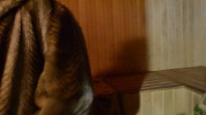 НАБУДНИ#2 . КАК ТОПИТЬ БАНЮ БЕЗ ДРОВ? СЕКРЕТ МАКСИМАЛЬНОЙ ЭКОНОМИИ