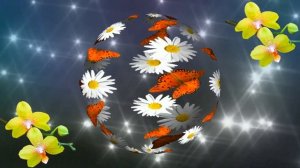 Видеозаставка, футаж цветы и бабочки