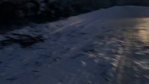 ТЕСТИРУЕМ В МОРОЗ! Бензопила Hyundai X 420 / Тест бензопилы