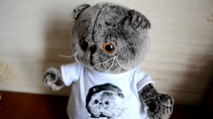 Кот Басик. Утро кота Басика....#играемсбасиками