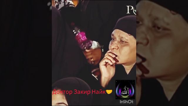 Доктор Закир Найк про то сказал ли Иисус что он бог?#ислам#религияислам