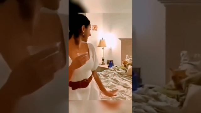 Смешные животные #75 #shorts