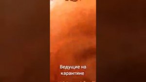 Ведущие праздников