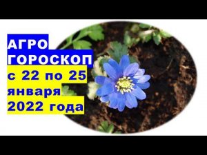 Агрогороскоп с 22 по 25 января 2022 года