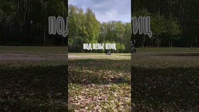 шавасана в Пискаревском парке Санкт Петербург. Калининский район Пискарёвка лес в городе птицы поют