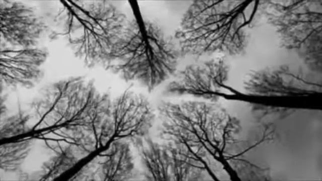 А ты думал - я тоже такая | Автор стихотворения: А. А. Ахматова смотреть онлайн