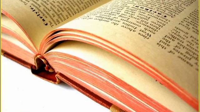 Форма реферата смотреть онлайн