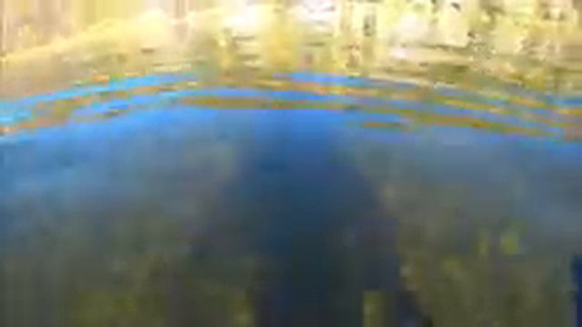 Все обо всем №40. Водопад. Золото есть. смотреть онлайн