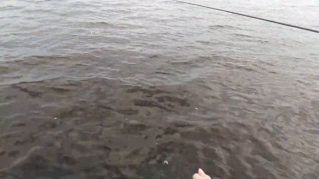 Рыбалка на Селигере 2020/Открытие летнего сезона смотреть онлайн