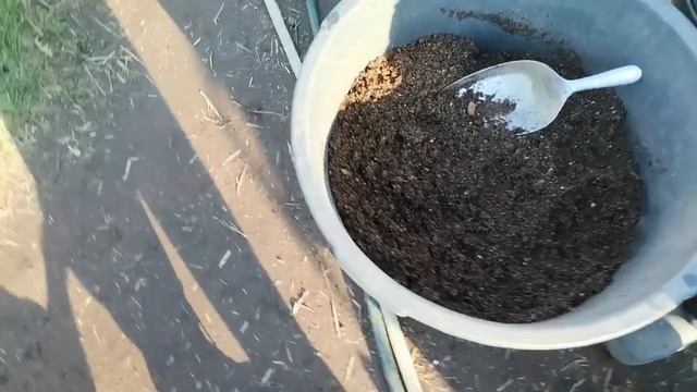 Высадка полным ходом. Работы в саду, огороде. Готовлю грядки и картофель, сажаю лук, кормлю клубник смотреть онлайн