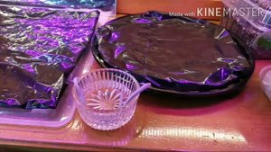 Капиллярные маты своими руками. Растения сами "лакают" воду!