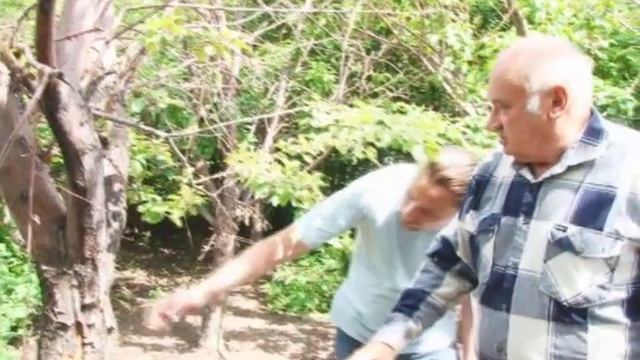 Рак яблонь смотреть онлайн