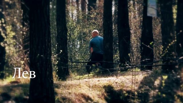 Тельцу успех Раку достаток. Кому еще звезды указали правильный путь к удаче и богатству в год Быка