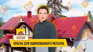 Чем покрасить оцинковку?