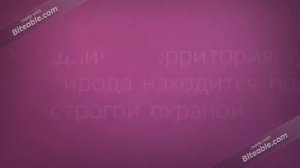 Охрана животных