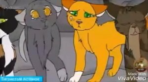 Коты-Воители Ласточка и Грач