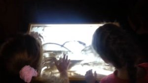 Песочная анимация в детском саду