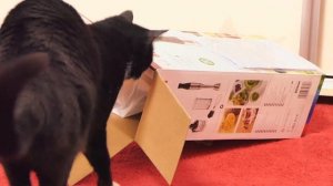 DESFACEM IMPREUNA ? UNBOXING - Bosch Seria 6 ErgoMaster MSM6M821, 1200W