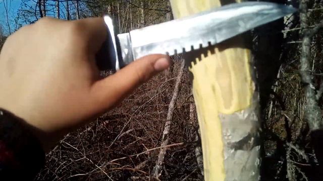 Как собирать осинувую кору. Где её использовать . смотреть онлайн