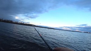 Осенние Щуки на  Джеркбейты и Джиг