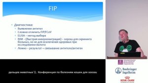 Пака М. В. - Инфекционный перитонит кошек [часть информации устарела, FIP теперь излечим].mp4