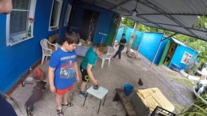 Жарим на костре скумбрию и мойву в деревне.