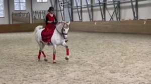 26.12.2021Форвард  Кюр БП. КСК Алмазово