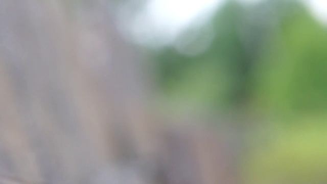 Sony FE 85mm f1.8  (Sony NEX-C3, A7M2) | молчаливый обзор