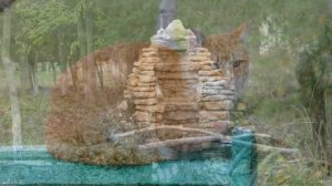 Евпатория. Санаторий "Приморье"