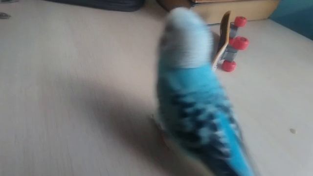 Я вернулся на свой Rutube канал!