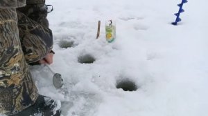 Рыбалка. на природе в Коми.