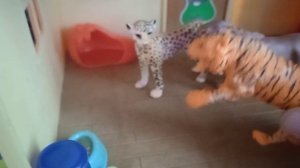 шира шеба и тигон пошли в школу (1 серия)