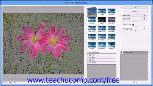 Photoshop Elements 12 Tutorial Filters & the Filter Gallery Adobe Training Lesson 13.9