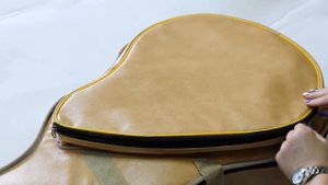 Обзор чехла для классической гитары