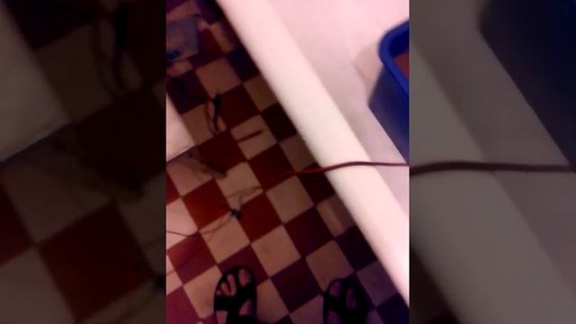 генерируем газ Брауна в домашних услових - 1 смотреть онлайн