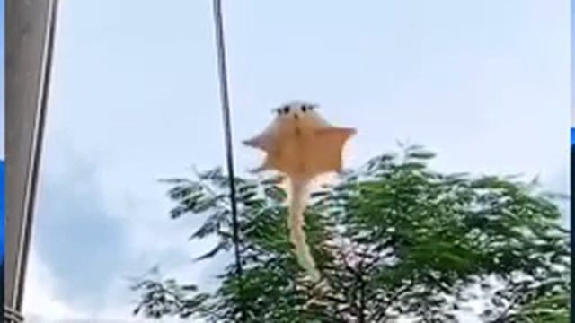 белка летяга 10 часов смотреть онлайн