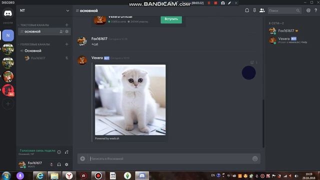 бот в дискорде смотреть онлайн