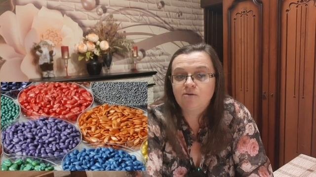 Профессиональные семена. Огурцы 2024. Китайский огурец ( отзыв)