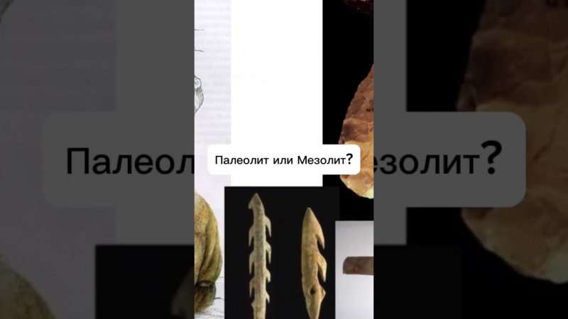 Угадай эпоху: Палеолит или Мезолит?#палеолит #мезолит #егэистория #аг_репетитор