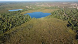 Поселок Кирилловское 11.09.2022