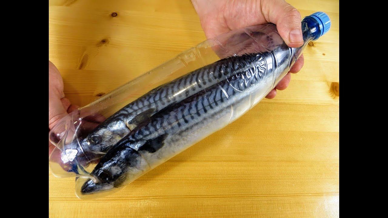 Отрезаем у бутылки горлышко и получаем лучший рецепт домашней копченой скумбрии