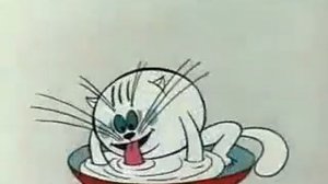 Ми ми миска молока