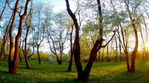 А. Дворжак "Мелодия"