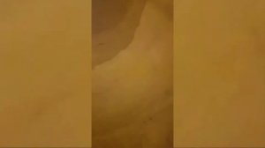 ООО «РемСтрой». Очистка цементного силоса №14 АО «Катавский цемент»