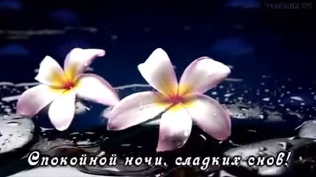 200000710 Спокойной ночи, сладких снов до утра (0.30) смотреть онлайн