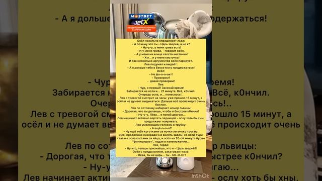 Анекдот Лев и Осёл #анекдоты #шутки #приколы #радость #юмор #смех